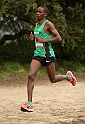 2011 BayXC-295